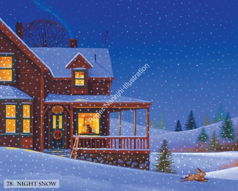 78. NIGHT SNOW